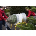 Christmas Tree Netting Machine | Galvanised Packaging Funnels | All Sizes