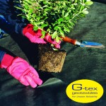 WEEDEX 70gsm | Professional Grade Weed Control Membrane | All Sizes