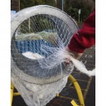 LZ Christmas Tree Netting | All Sizes | Free & Fast Delivery