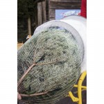 LZ Christmas Tree Netting | All Sizes | Free & Fast Delivery